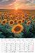 282120000_2.jpg