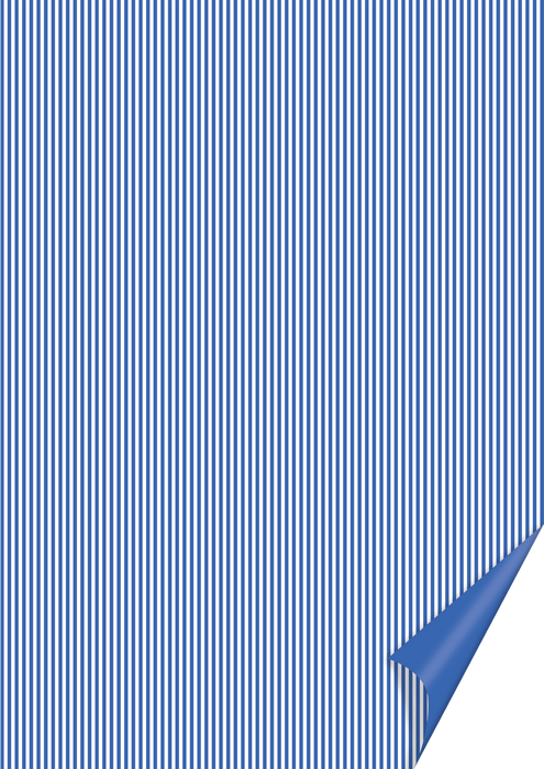 440001221_0.jpg