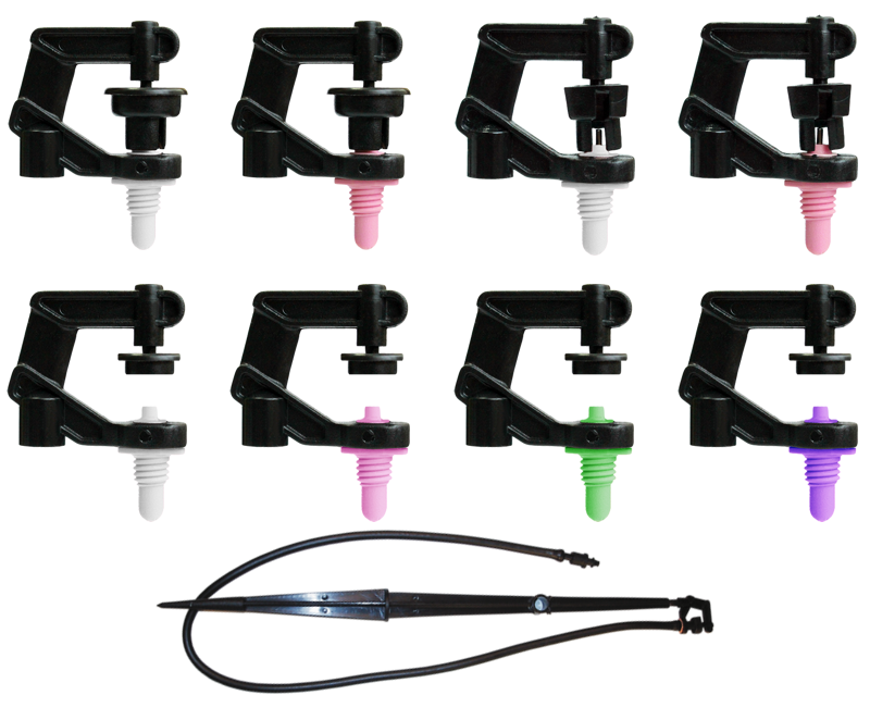 Mikrosz. kerek rot. rózsasz.