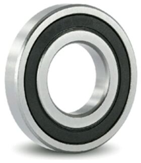 6009 2RS (SKF)-0