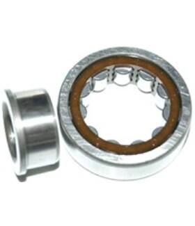 NJ 2305 ECP (SKF)